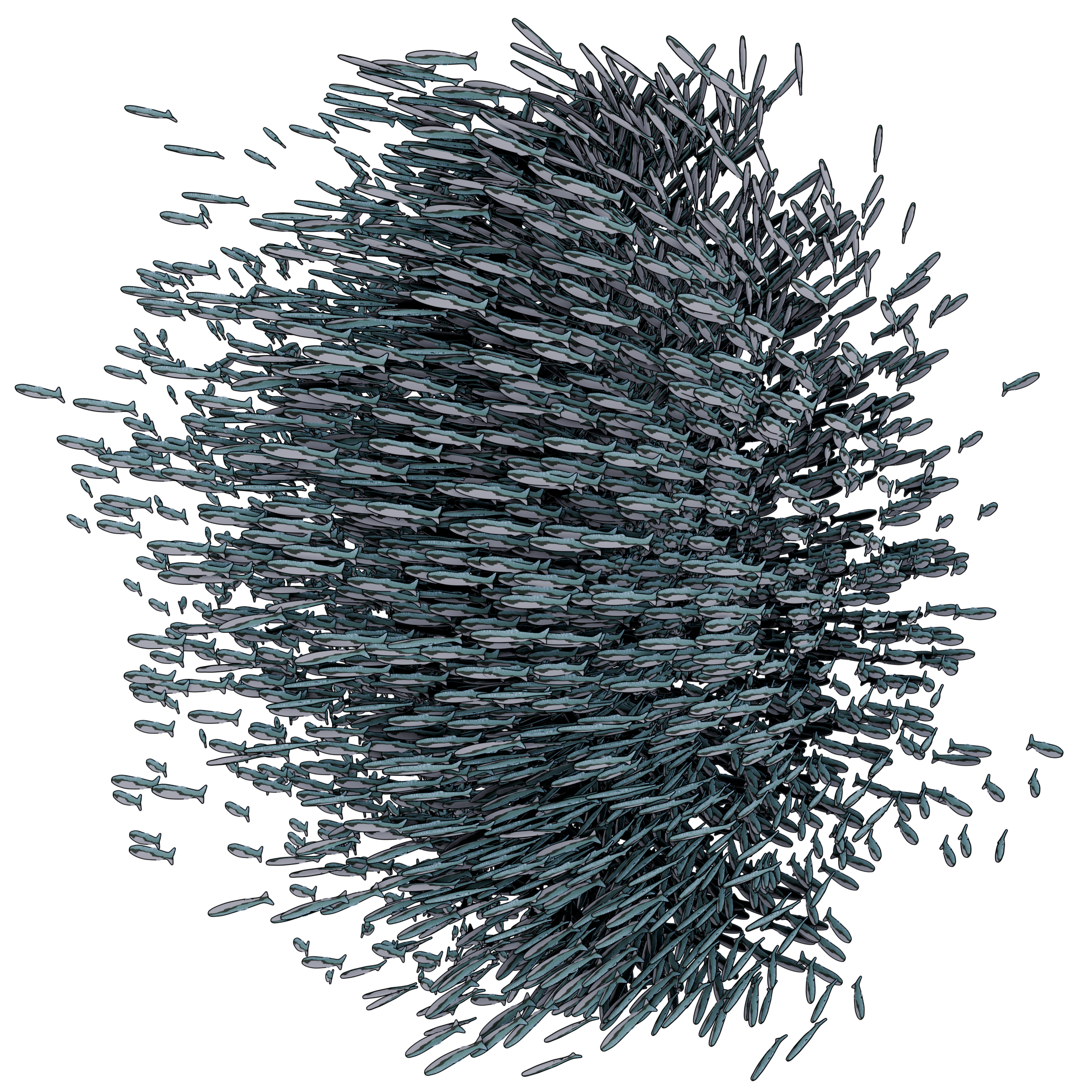 Anchovy Modeling Visualization