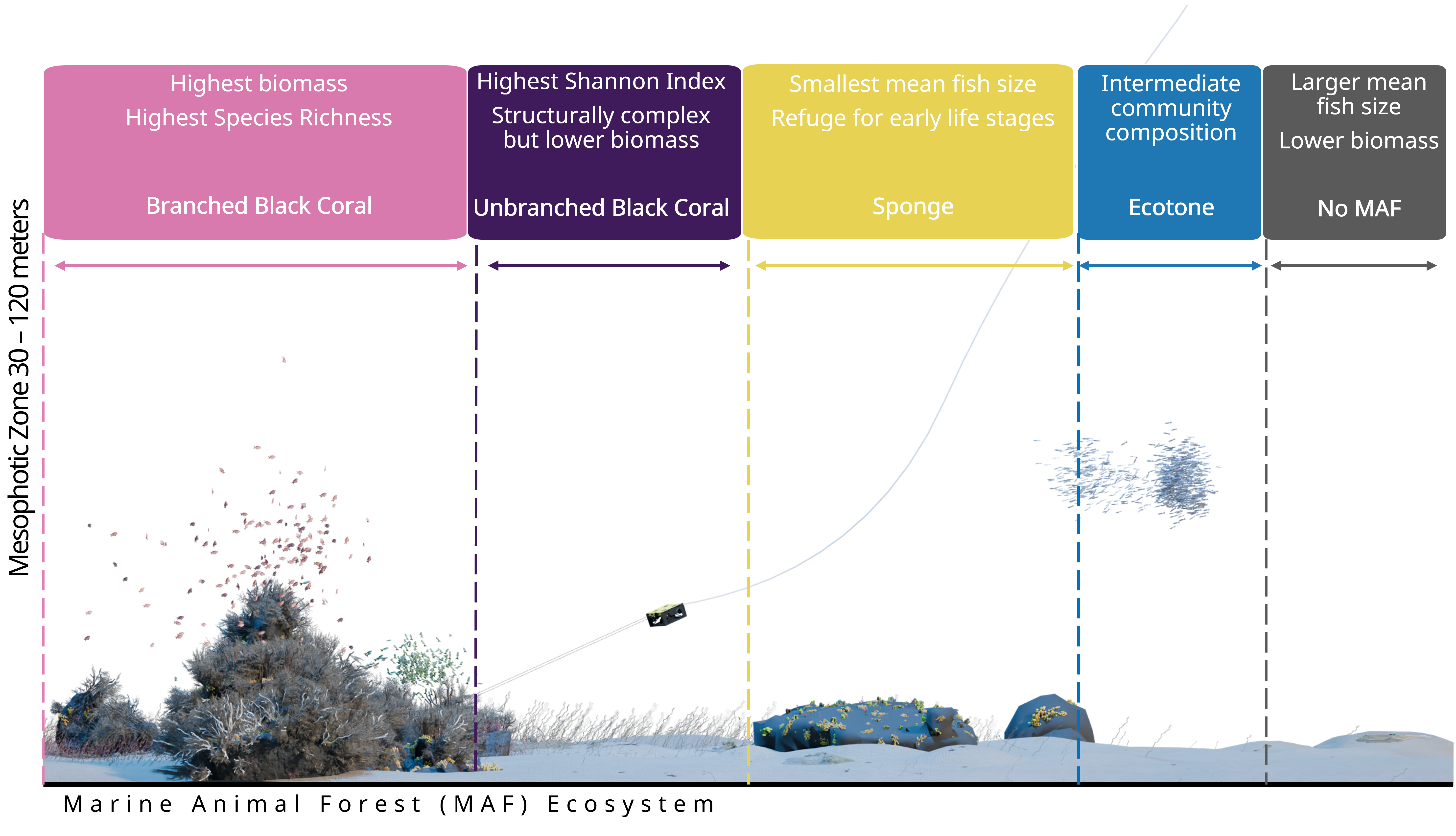 Conceptual Diagram