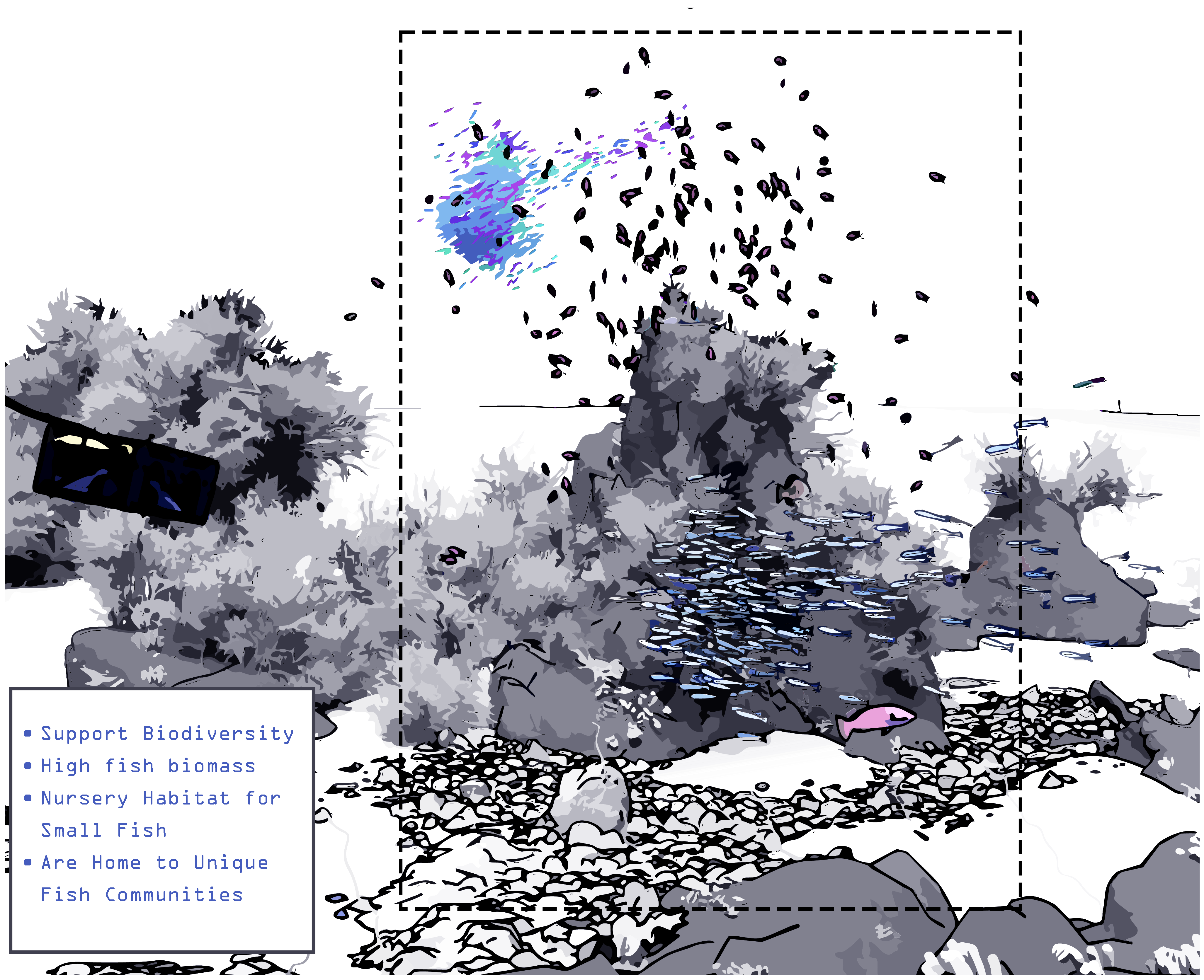 Graphical Transect