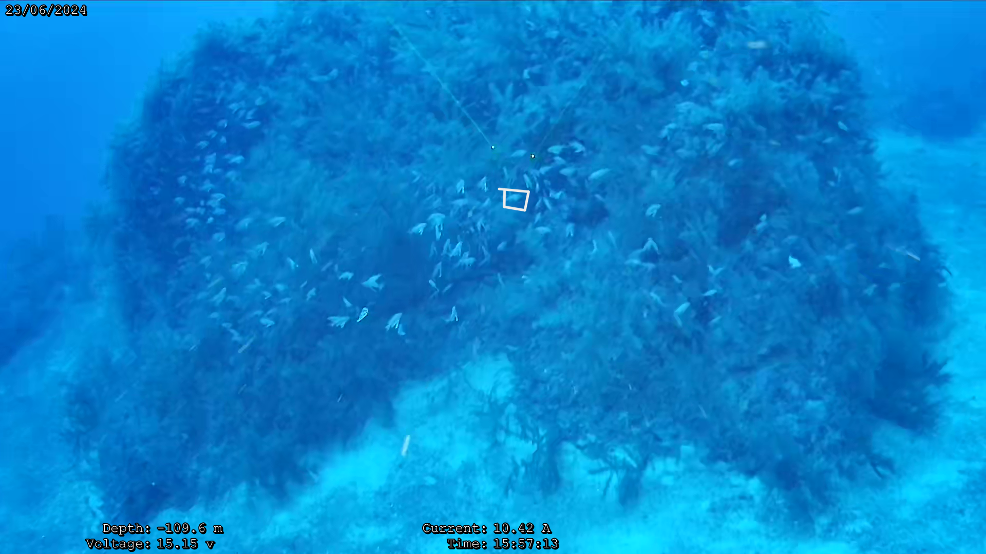 ROV50